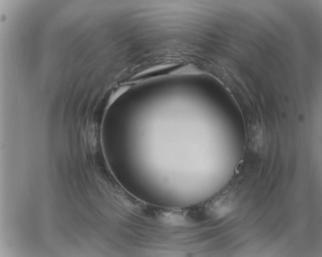 X0000064730232200602171650