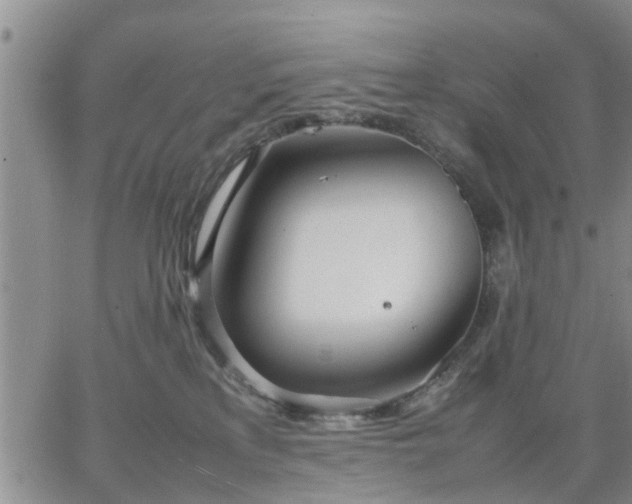 X0000064730233200602171650