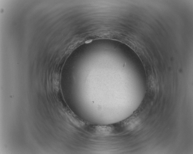 X0000064730234200602171649