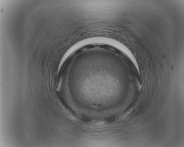 X0000064730235200602171649