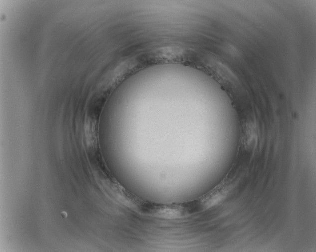 X0000064730236200602171649