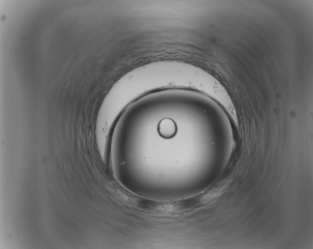 X0000064730237200602171649