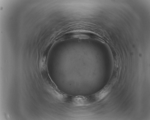 X0000064730239200602171649