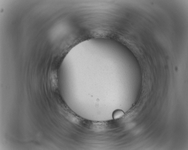 X0000064730240200602171649