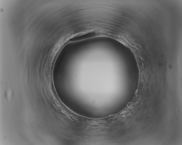 X0000064730241200602171649