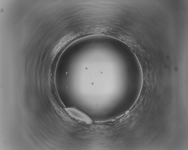 X0000064730242200602171649