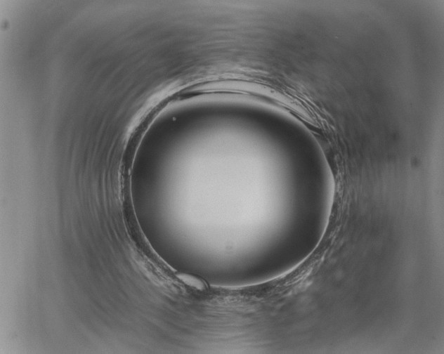 X0000064730244200602171649