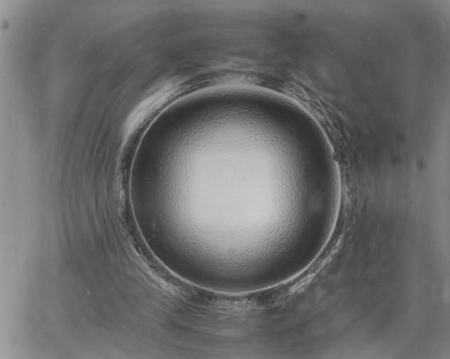 X0000064730245200602171649