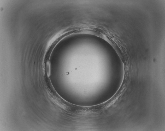 X0000064730246200602171649