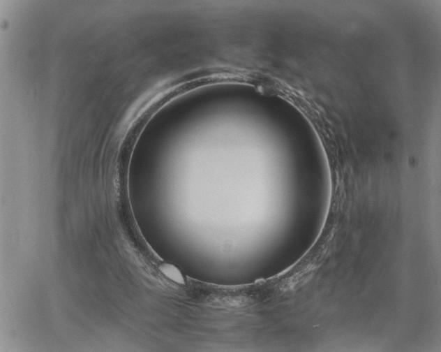 X0000064730247200602171649