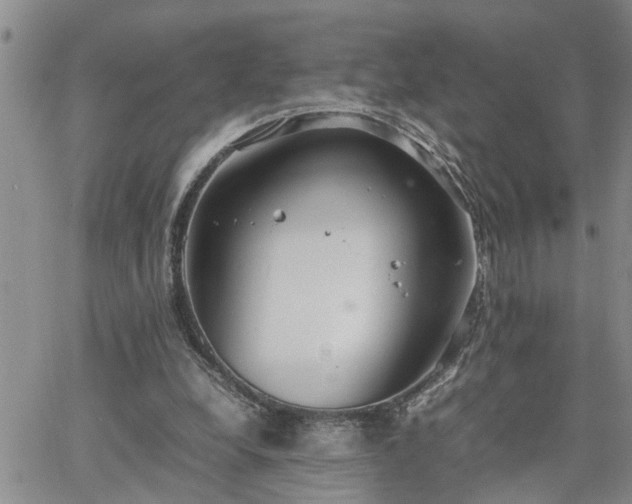 X0000064730248200602171649