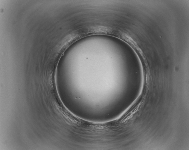 X0000064730249200602171649