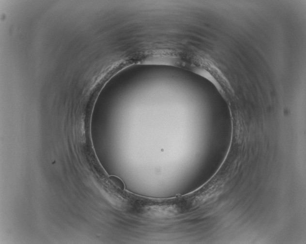 X0000064730251200602171649