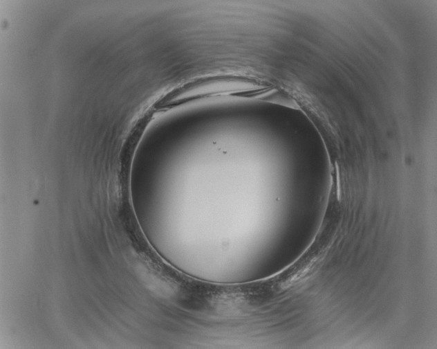 X0000064730252200602171649