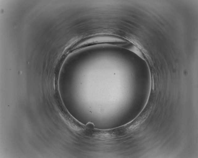 X0000064730253200602171649