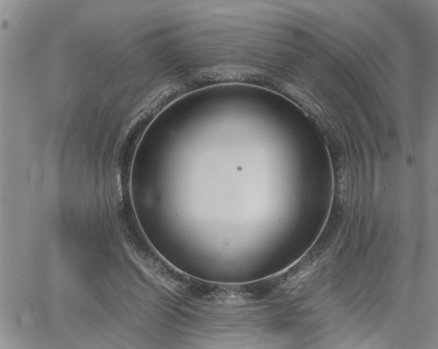 X0000064730254200602171649