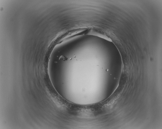 X0000064730256200602171649