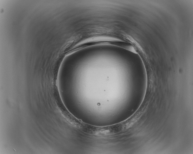 X0000064730257200602171649