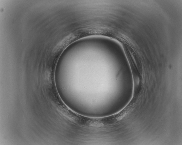 X0000064730258200602171649