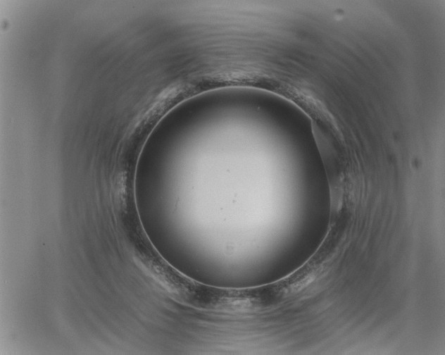 X0000064730260200602171649