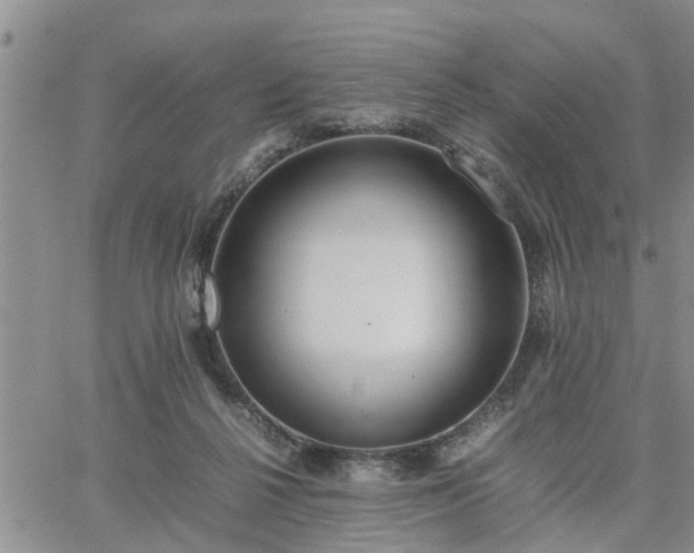 X0000064730264200602171649