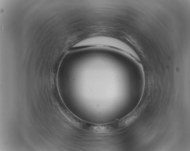 X0000064730265200602171649