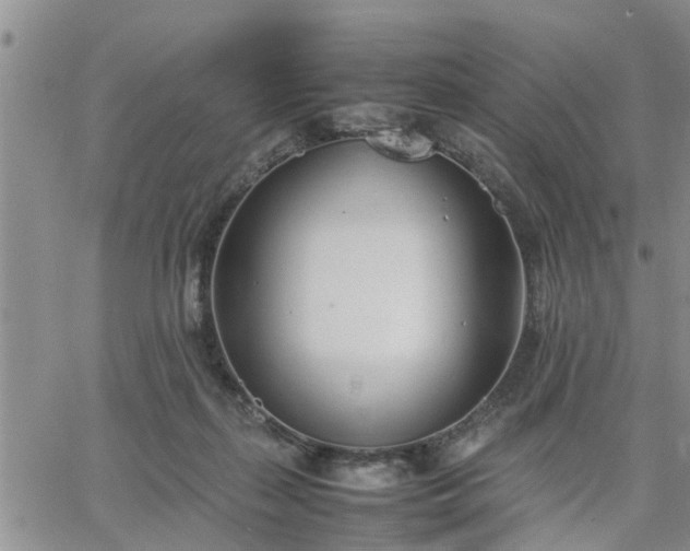 X0000064730267200602171649