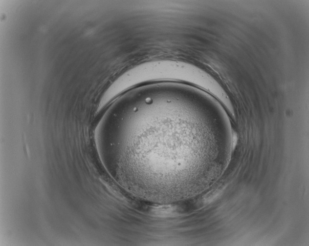 X0000064730269200602171649