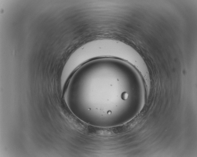 X0000064730272200602171649