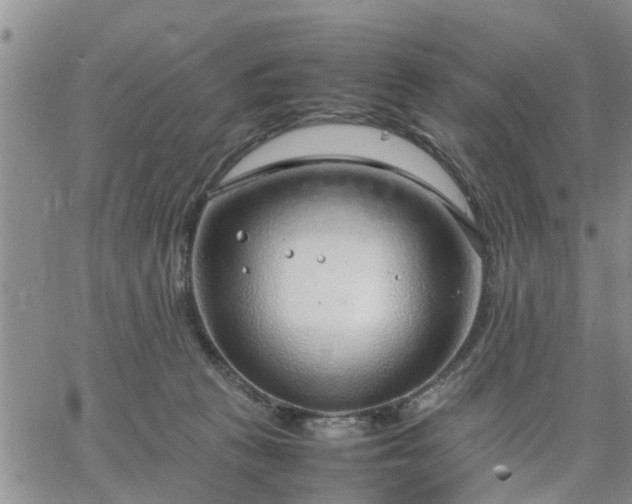 X0000064730273200602171649