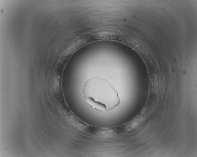 X0000064730278200602171649