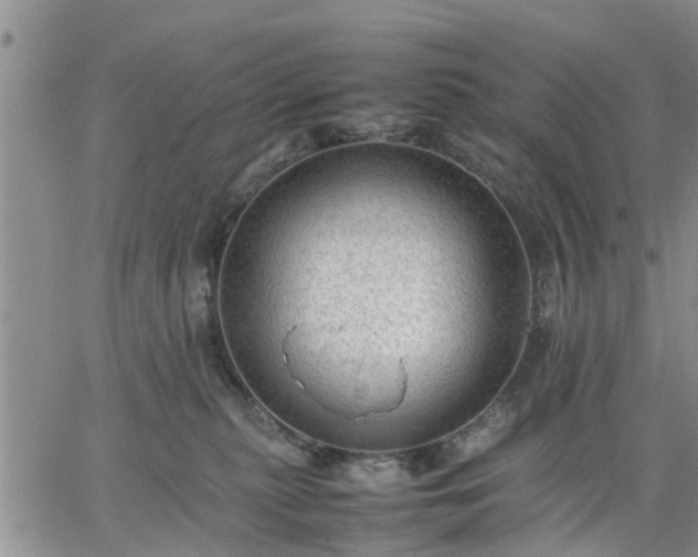 X0000064730279200602171649