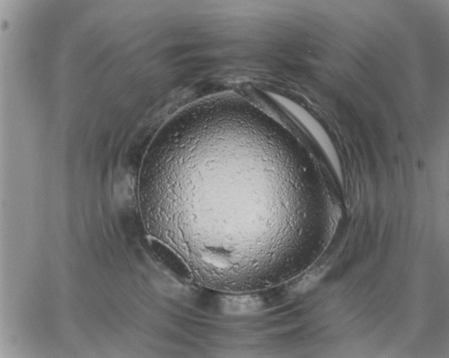 X0000064730281200602171649