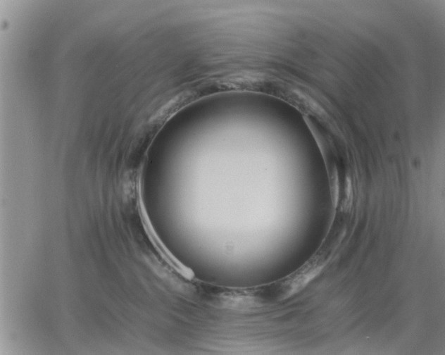 X0000064730284200602171649