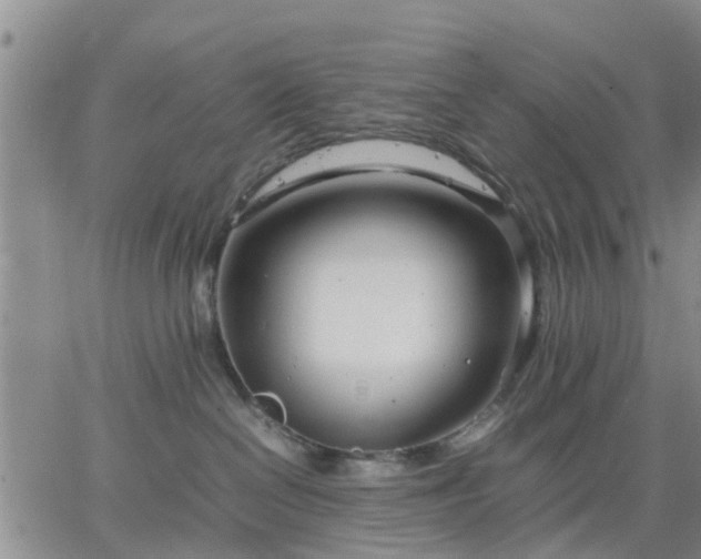 X0000064730286200602171649