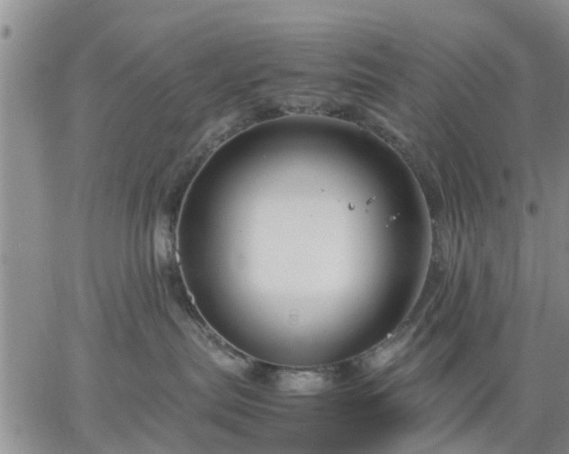 X0000064730287200602171649