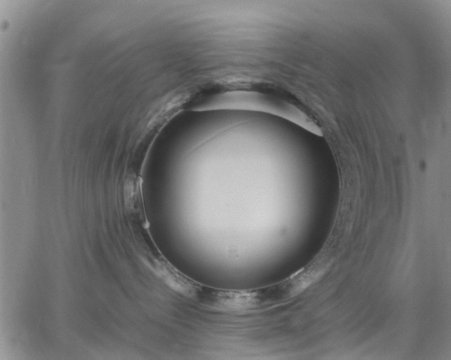 X0000064730288200602171649