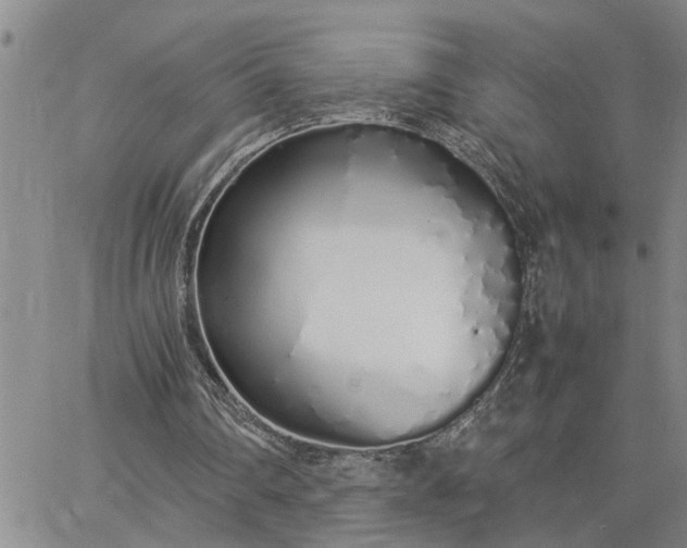 X0000064730290200602171649