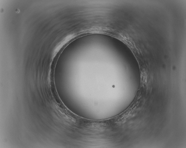 X0000064730292200602171649