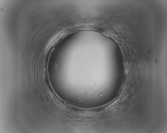 X0000064730293200602171649