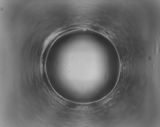 X0000064730294200602171649