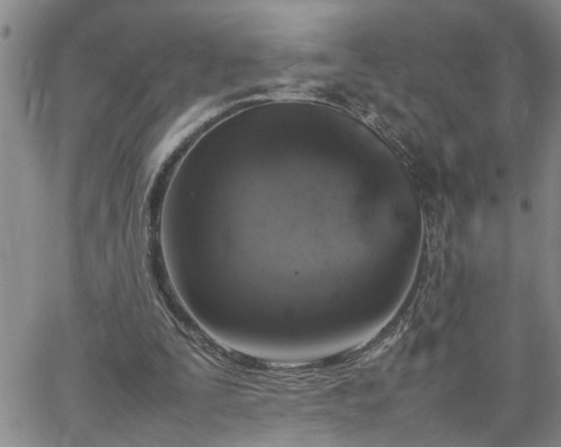 X0000064730295200602171649