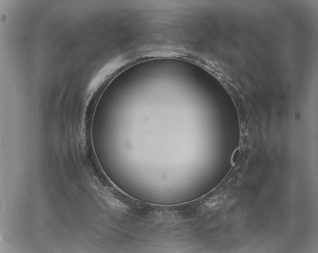 X0000064730296200602171648