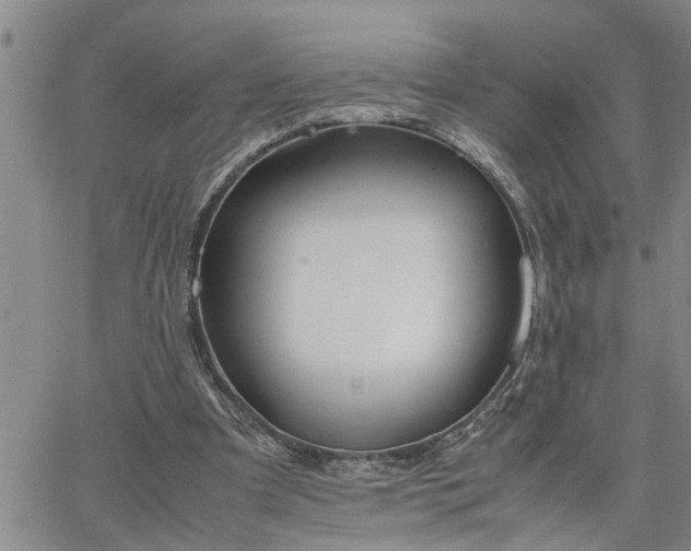 X0000064730297200602171648