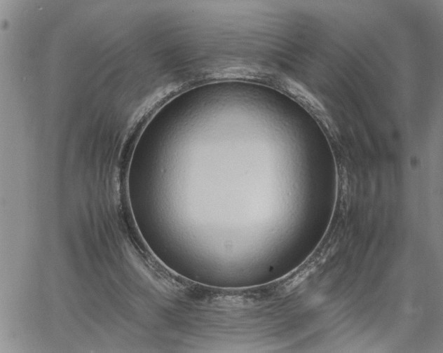 X0000064730298200602171648