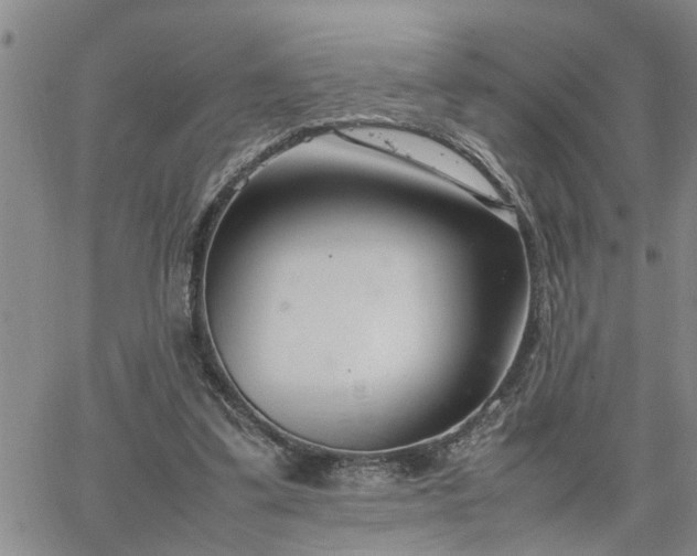 X0000064730299200602171648