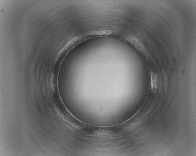 X0000064730300200602171648