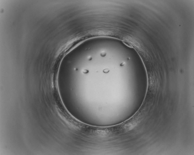 X0000064730302200602171648