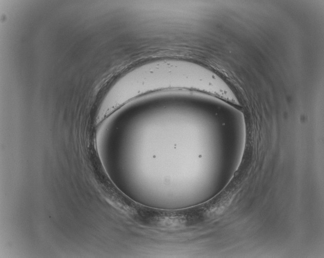 X0000064730303200602171648