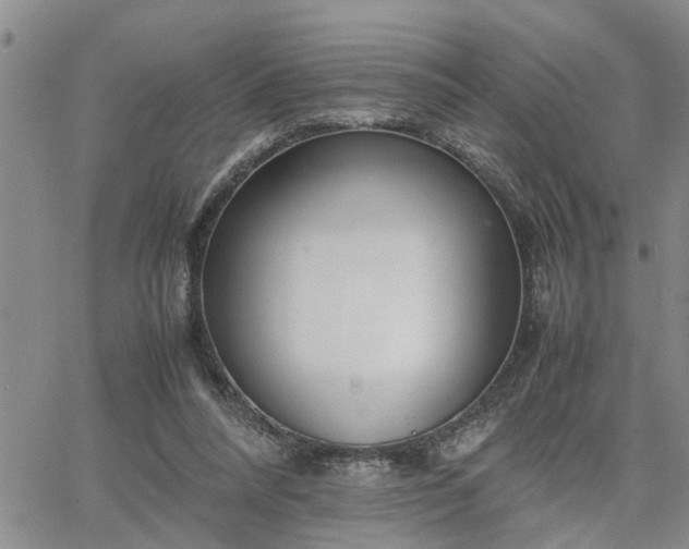 X0000064730304200602171648